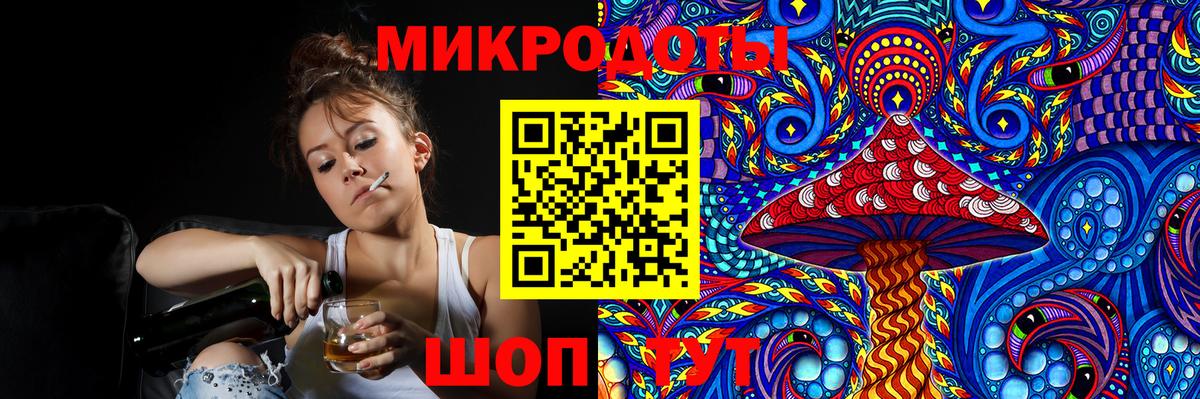 Псилоцибиновые грибы Cubensis Калининград