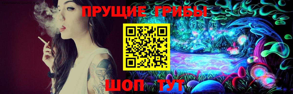 Калининград  Псилоцибиновые грибы прущие грибы  Вход с VPN 
